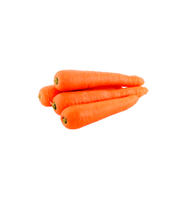 Fresh Carrots