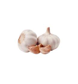 Garlic Bulb Fresh