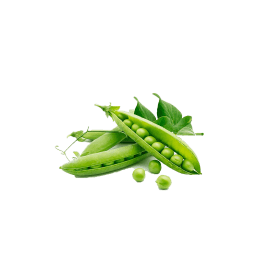 Organic Green Beans